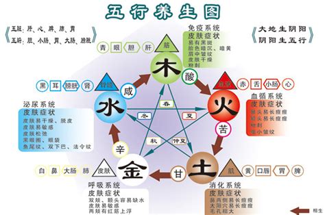 法律 五行|法律咨询行业五行属什么